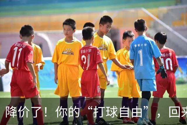 降价了！你的“打球自由”，回来了